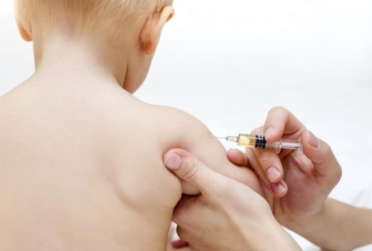 Vaccini obbligatori per accedere alle scuole materne - Vaccini, credits: gijoburgsouth.sites.caxton.co.za