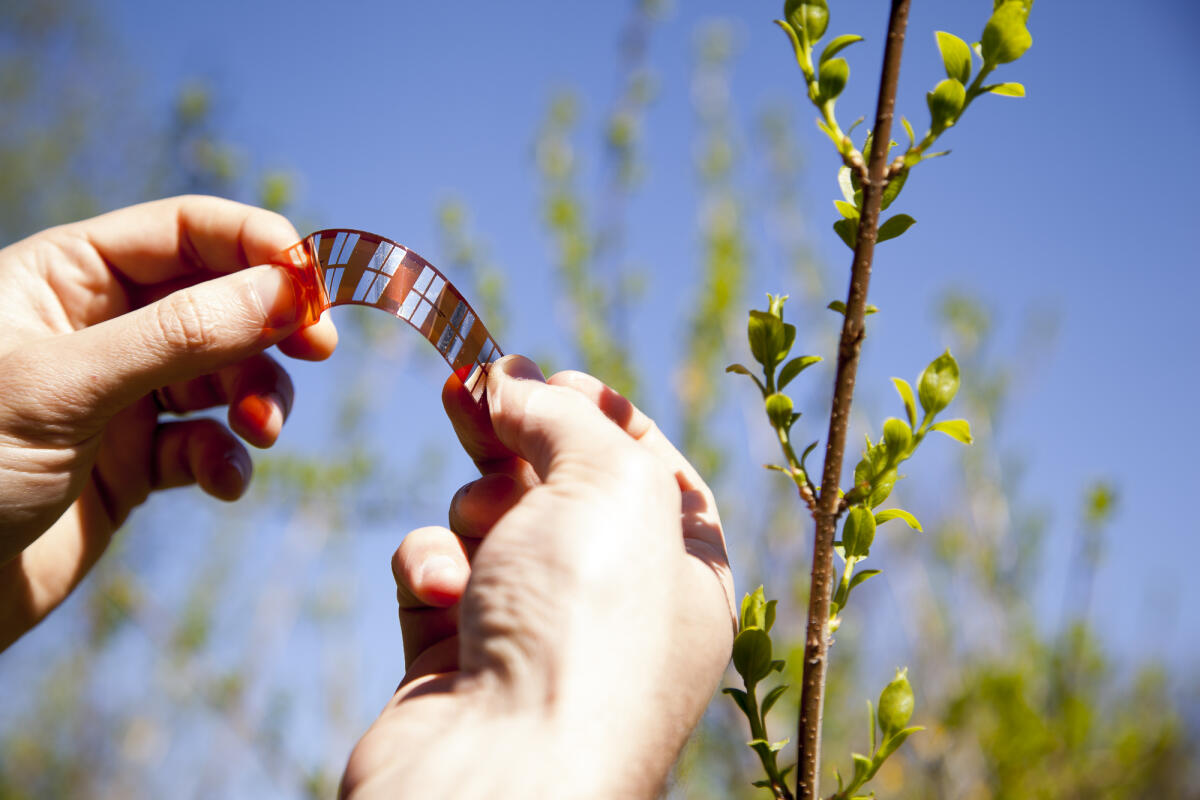 Una "rete" di sensori: l'idea di Ribes Tech - ribestech.it