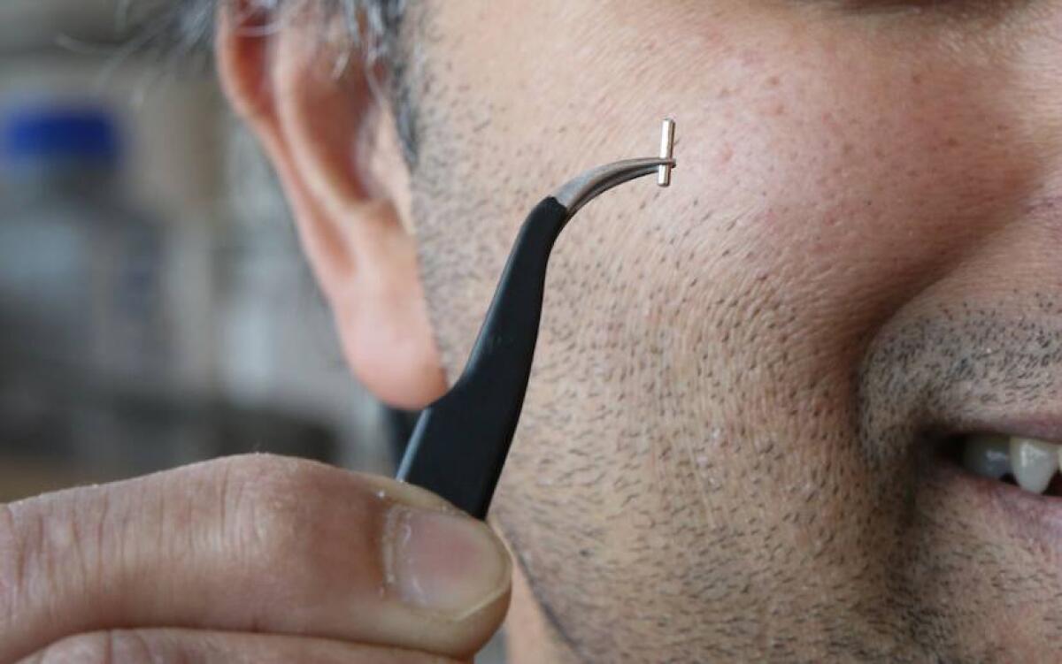 Computational Cannula Microscopy: nuova tecnica di indagine del cervello - La cannula del sistema CCM
https://fb-s-a-a.akamaihd.net