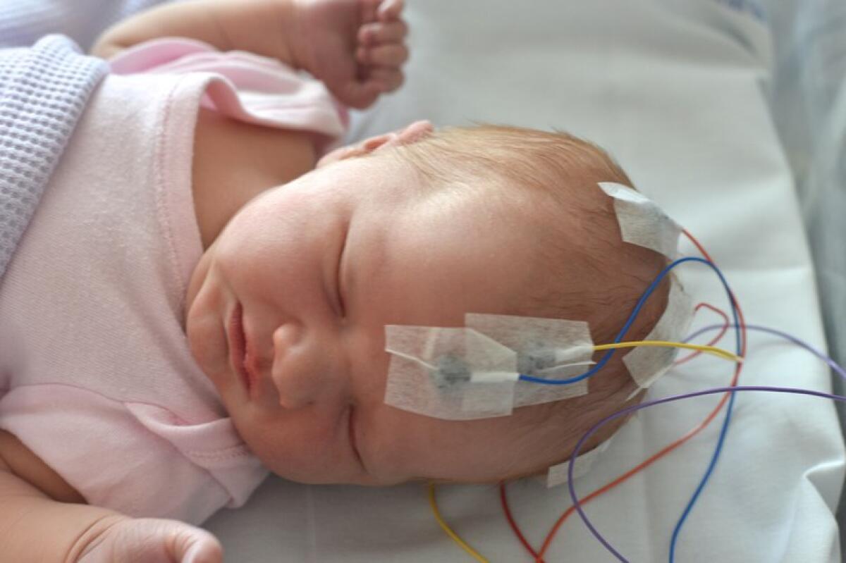 Basta un EEG per misurare il dolore nei neonati - Lo studio della Oxford University punta alla valutazione del dolore del neonato mediante EEG.
Credits: University of Oxford, Department of Paediatrics