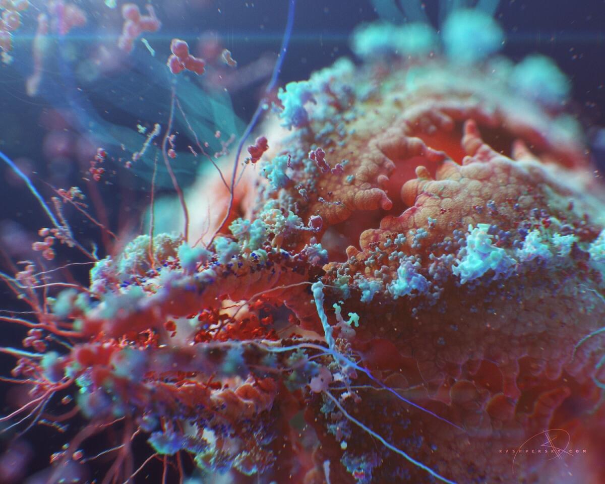 Scoperto N6, l'anticorpo che debella l'HIV - Virus dell'HIV, credits: kashpersky.com