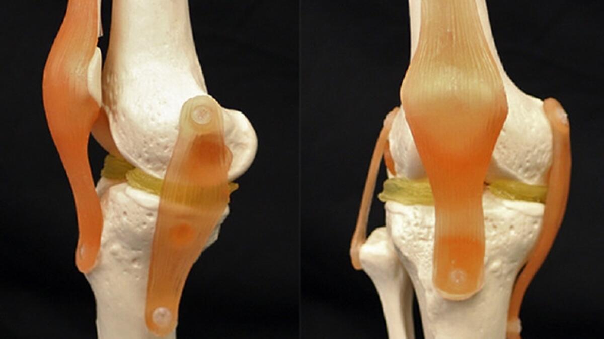 Idrogel biocompatibile: ora la cartilagine si stampa 3D - Cartilagine 3D: idrogel e nanoparticelle di argilla
http://www.webtekno.com