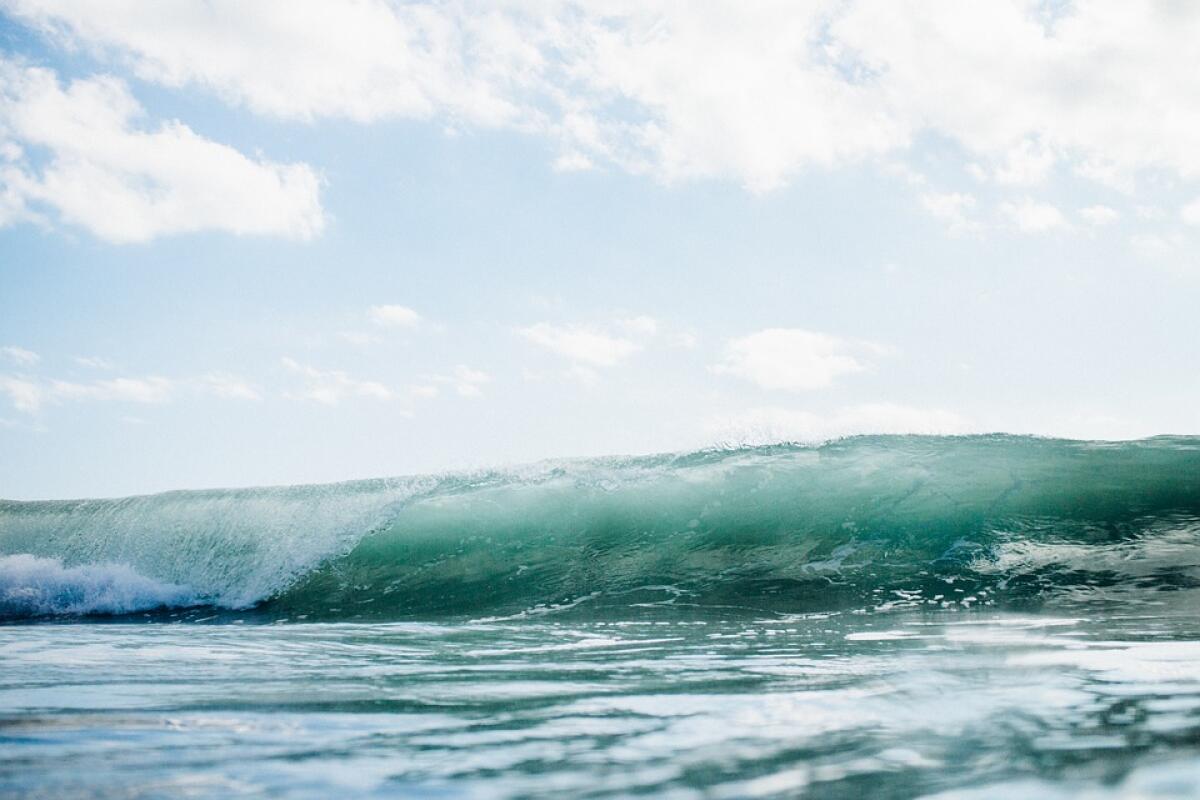 WaveSAX: energia dalle onde del mare - 