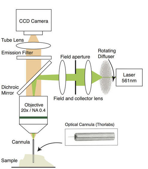 Computational Cannula Microscopy (CCM) https://www.nature.com/articles/srep44791