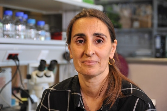 Federica Bertocchini, credits: iltirreno.gelocal.it