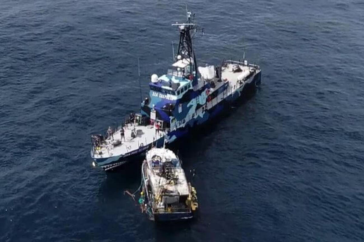 Nave della Sea Shepherd speronata da un peschereccio a Panama - PH: seashepherd.org