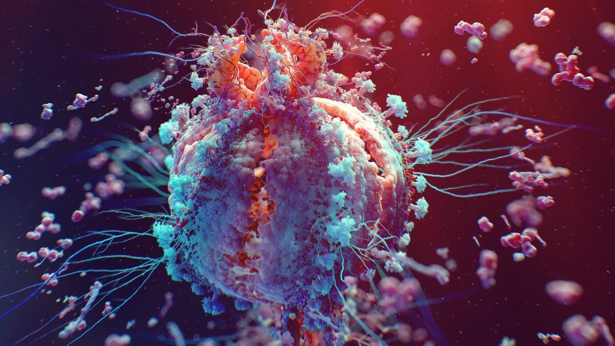 Super-anticorpi delle mucche contro HIV - Il virus dell'HIV, credits: microbiologiaitalia.altervista.org