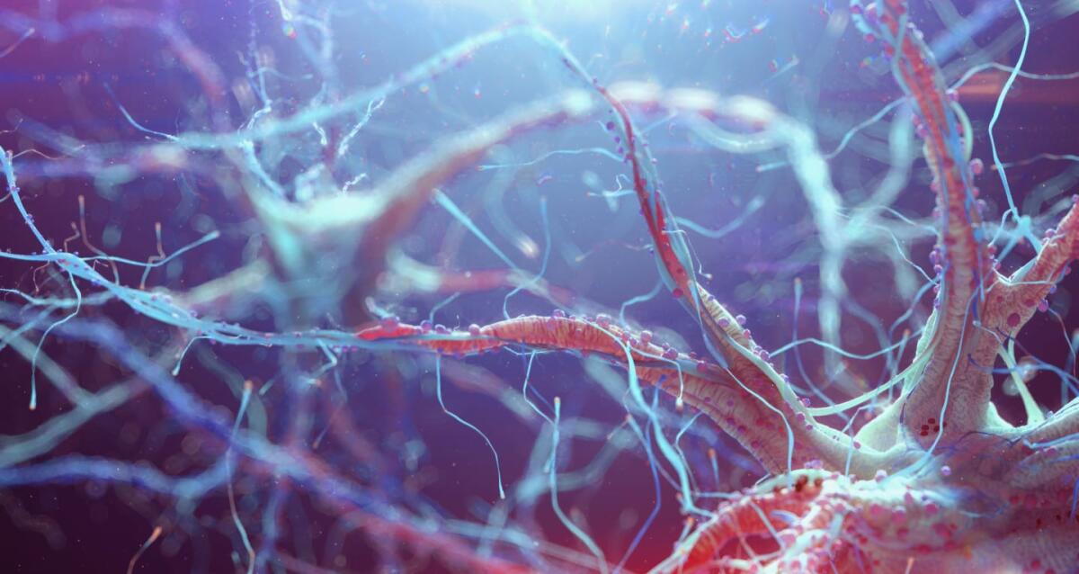 HIV in remissione: è il terzo caso al mondo - Hiv Virus, credits: Alexey Kashpersky