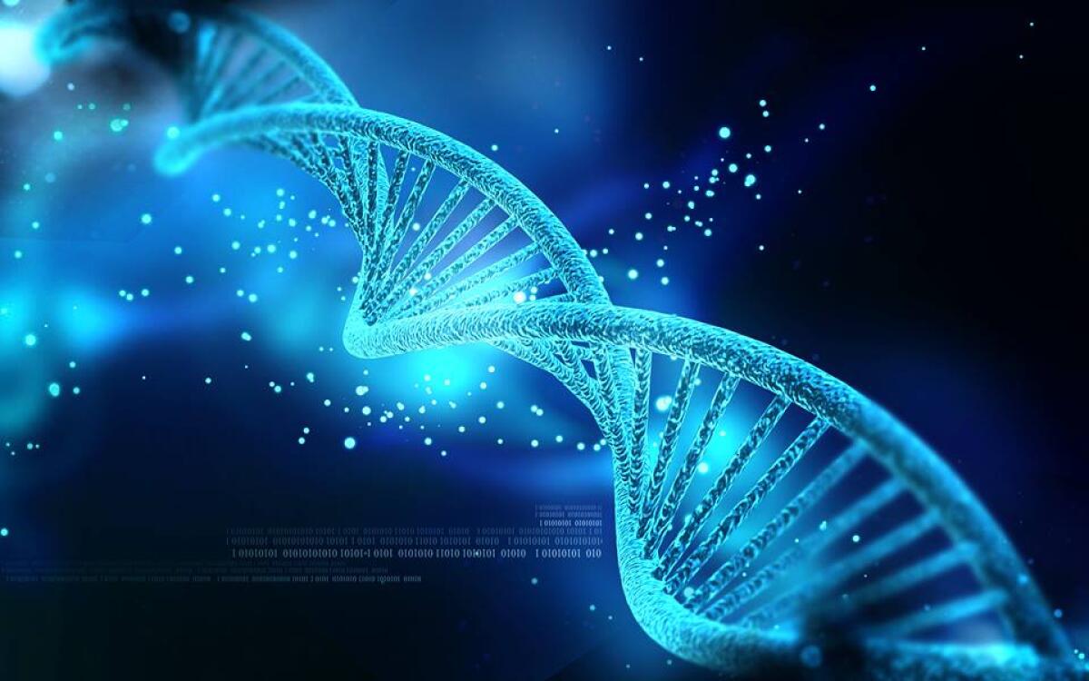 L’etica nel modificare le cellule germinali - PH: lastoriavariscritta.it