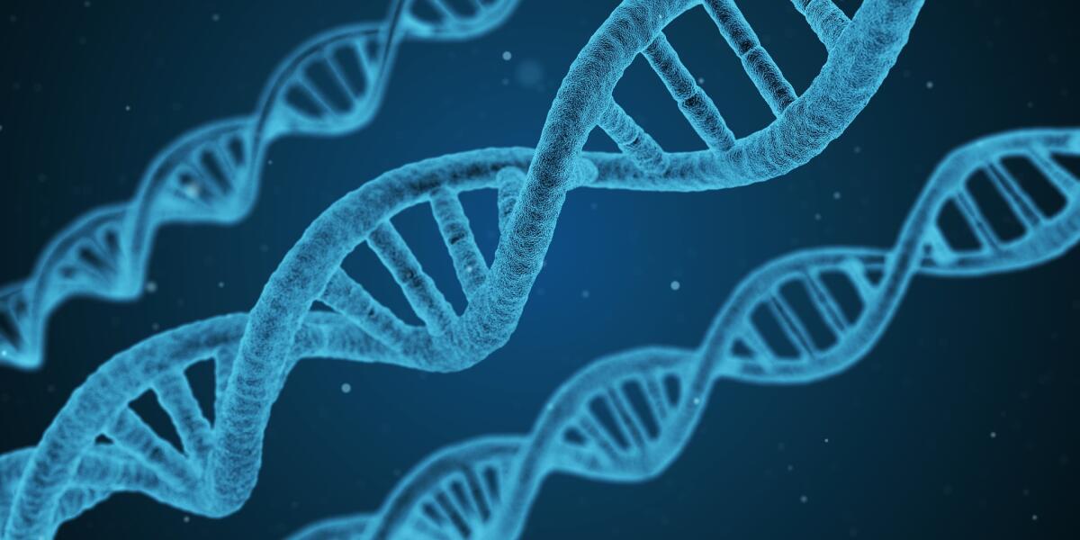 DNA in 3D: uno studio italiano pone le basi per ricostruirne l'architettura - DNA in 3D: uno studio italiano pone le basi per ricostruirne l'architettura