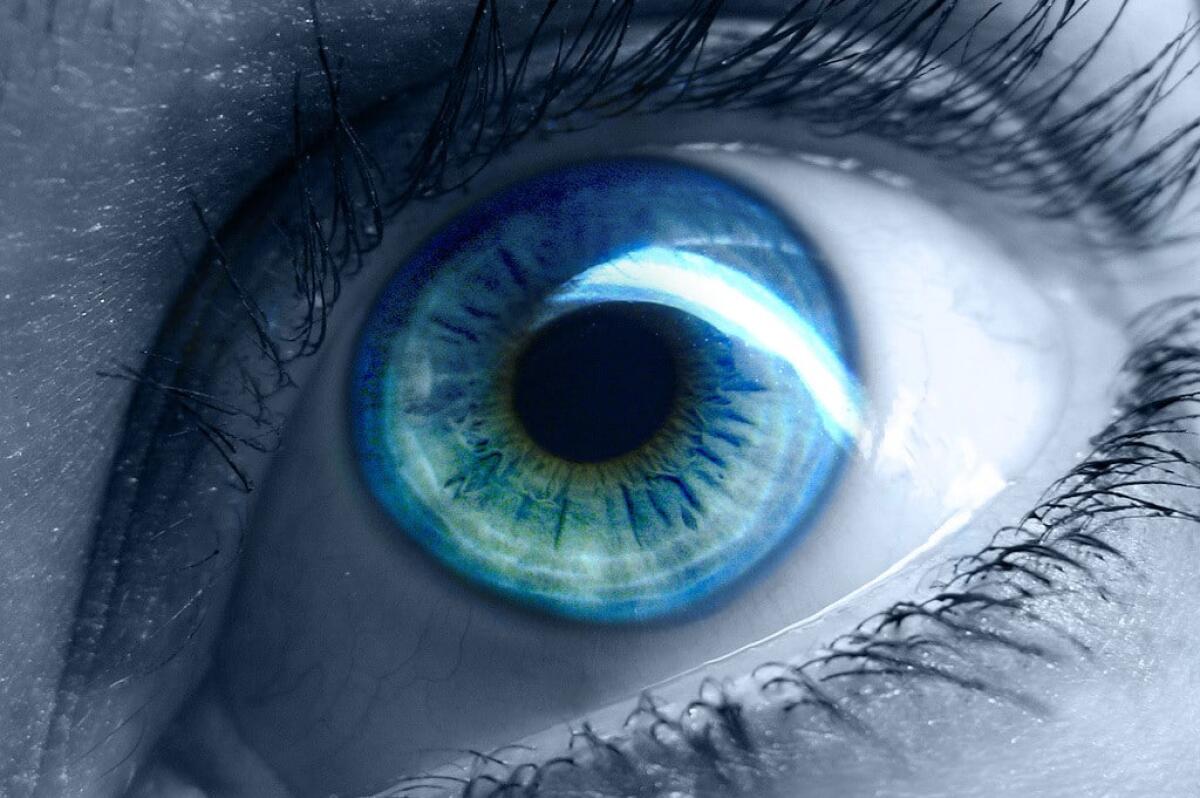 Rigenerare le cellule della retina? È possibile - PH: anahera.news