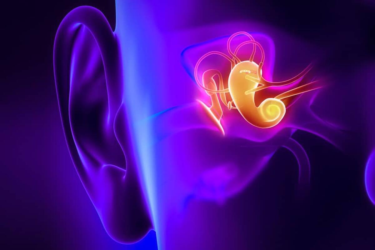Acufene cronico? Dipende dal cervello - Acufene, credits: uconn-today.universityofconn.netdna-cdn.com