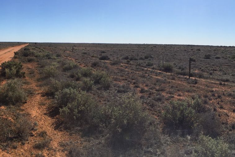 Aurora Solar Energy Project, Aurora,CSP, south australia, sali fusi, accumulo, port augusta, torrre, eliostati, grande, solarReserve, impianto, solare, termodinamico, concentrazione, rinnovabile, australia