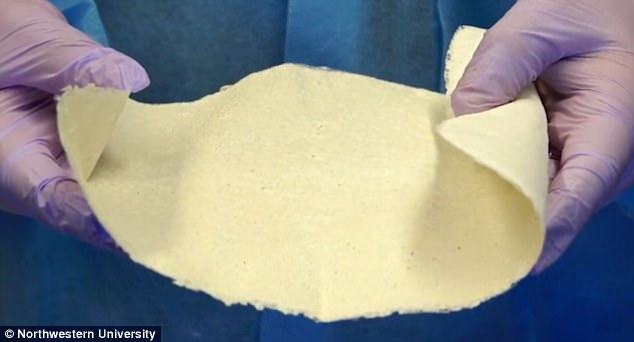 "Tissue Paper" http://www.dailymail.co.uk