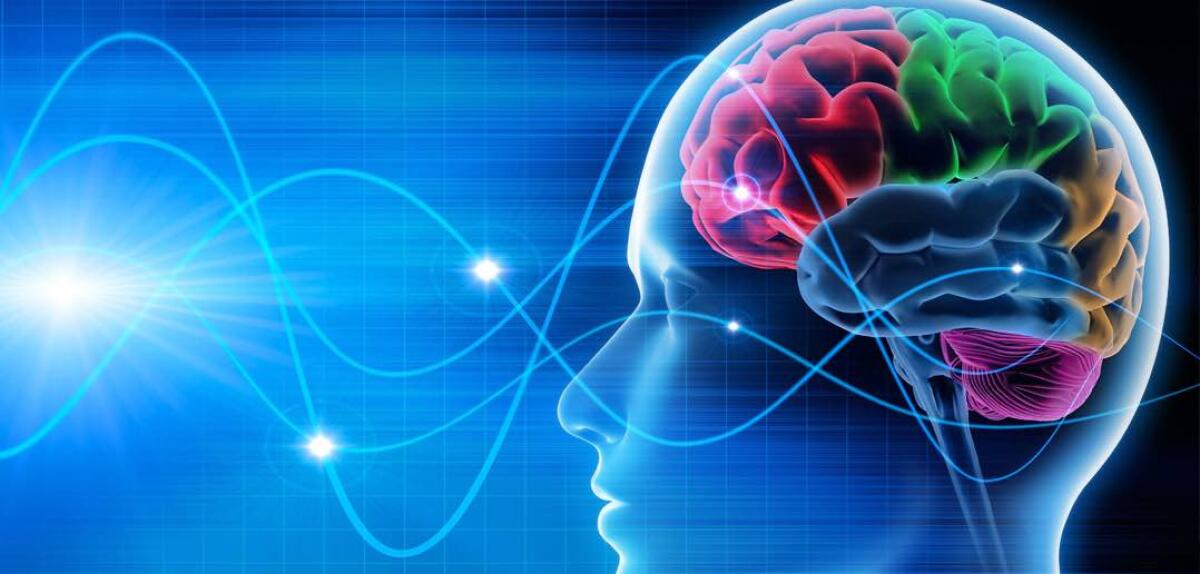 Brainternet: il cervello umano collegato ad internet per la prima volta - Cervello idealizzato
http://d2ck0sxsjau14o.cloudfront.net