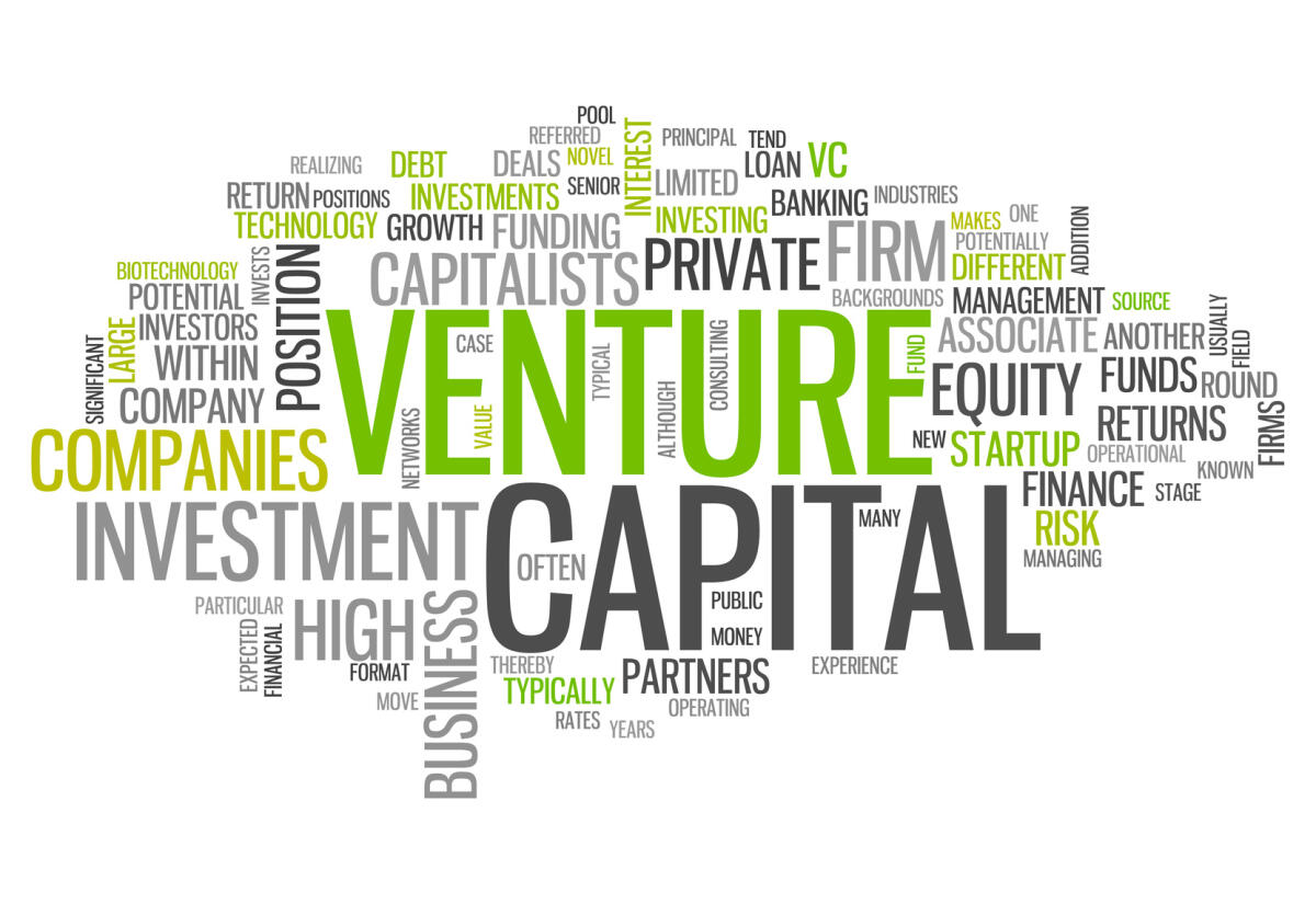 Cos'è il Venture capital e come funziona - 