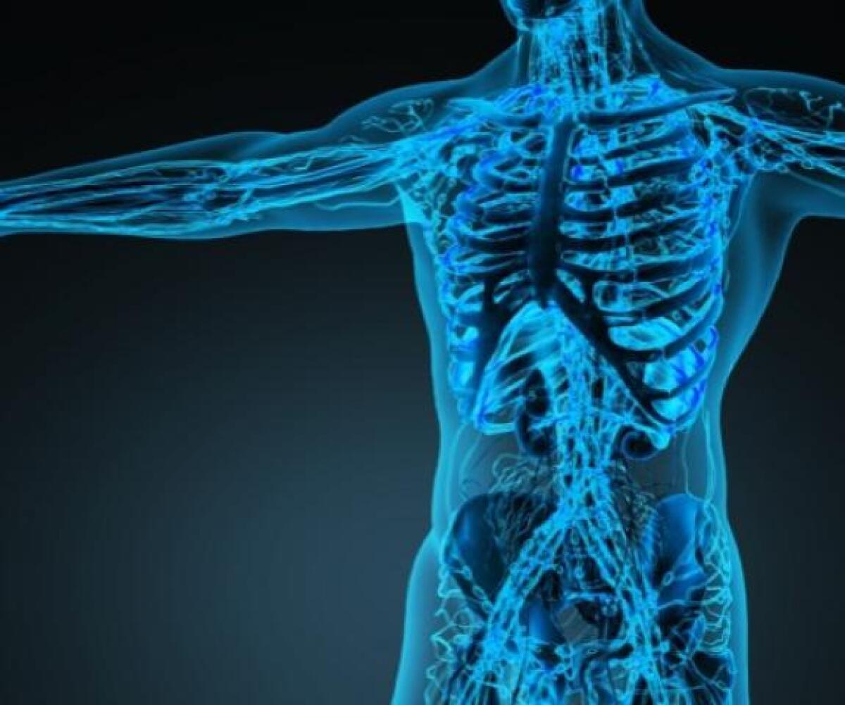 Una nuova telecamera capace di guardare attraverso il corpo umano - Una nuova telecamera capace di guardare attraverso il corpo umano
https://pintofscience.co.uk