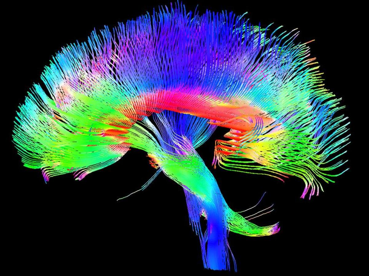 Nuove indicazioni sugli effetti delle sostanze psicotrope - Ph. keranews.org