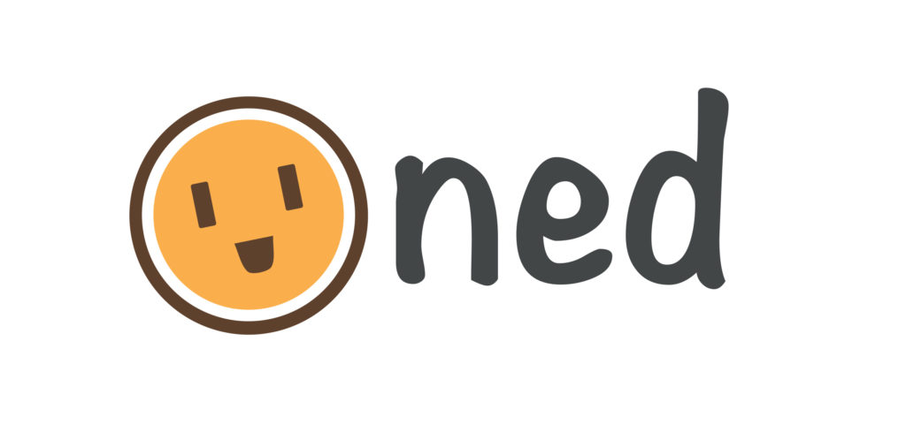 Ned, Midori, start up, torino, azienda, innovazione, contatore, smart metering, assistente, energetico, risparmio, confronto, tariffe, energia, elettricità, casa, monitoraggio, consumi, Misurare i consumi elettrici