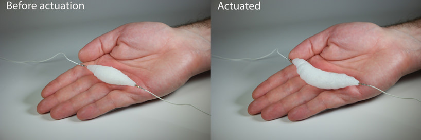 Muscoli artificiali softhttps://www.objectsmag.it