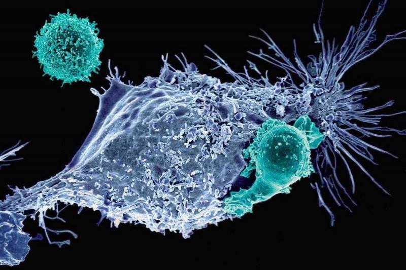 Ph: cancer.gov
