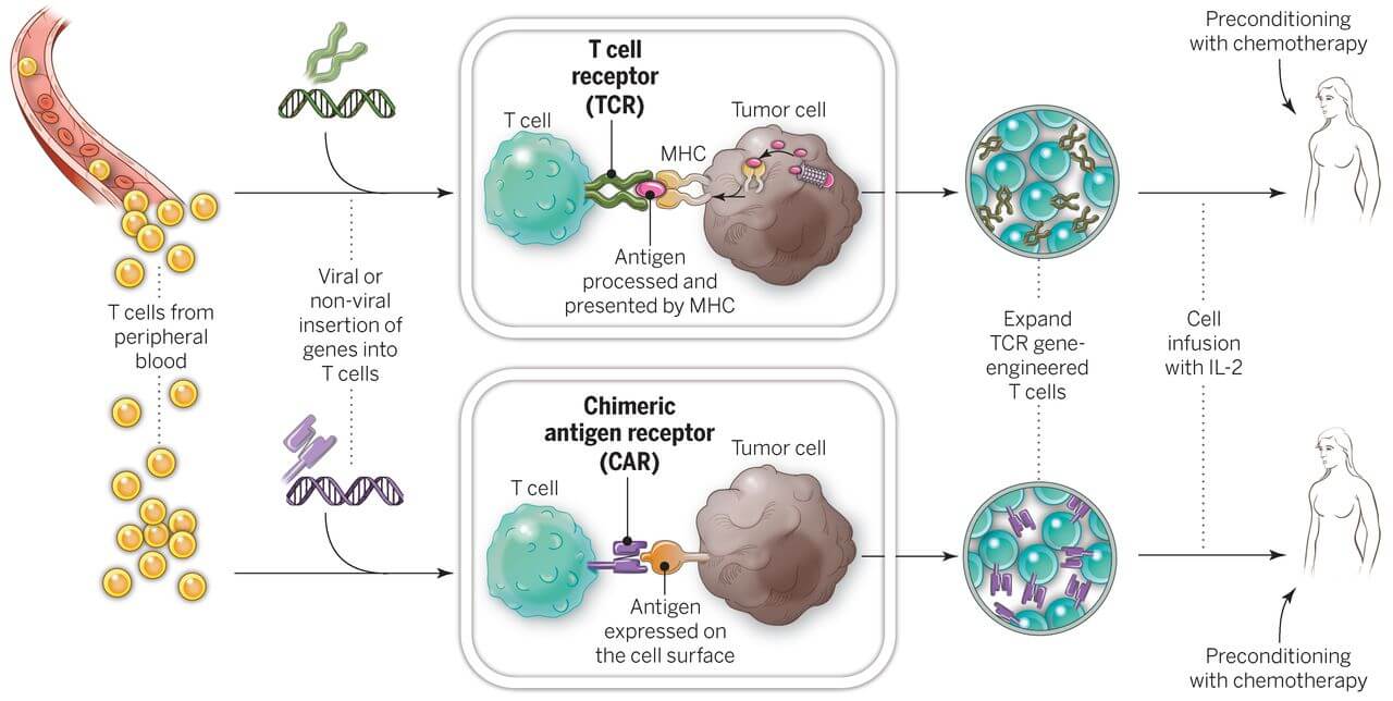 Ph: cancer.gov