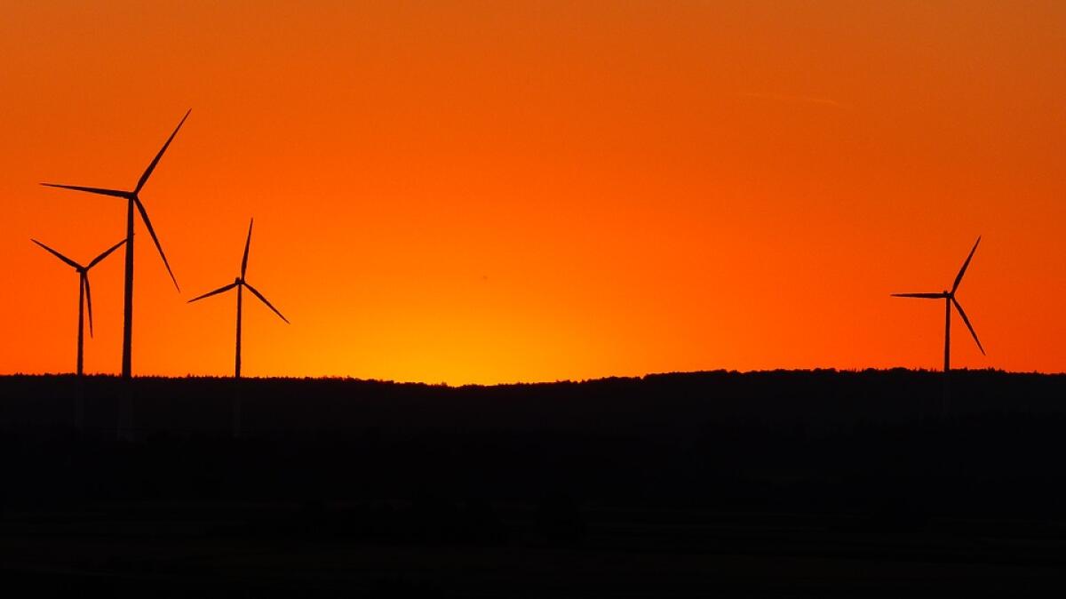 "Consumate energia elettrica, è gratis!" - 