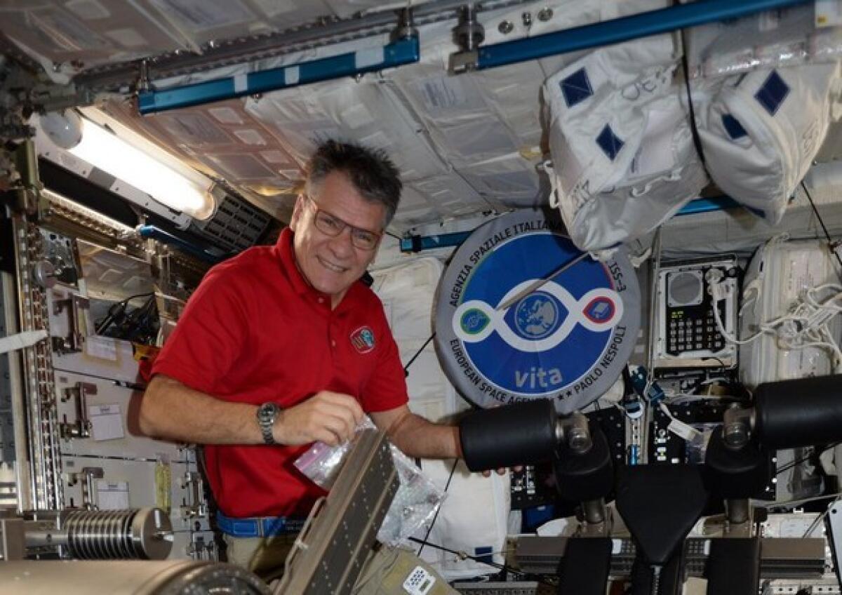 Missione VITA: eseguito il progetto PERSEO - Credits: ansa.it