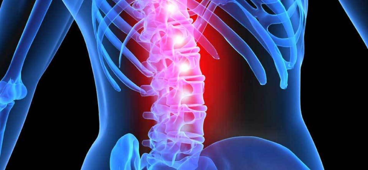Paziente paraplegico torna a muoversi grazie alla stimolazione epidurale - Paziente paraplegico torna a muoversi grazie alla stimolazione epidurale
https://biotechin.asia