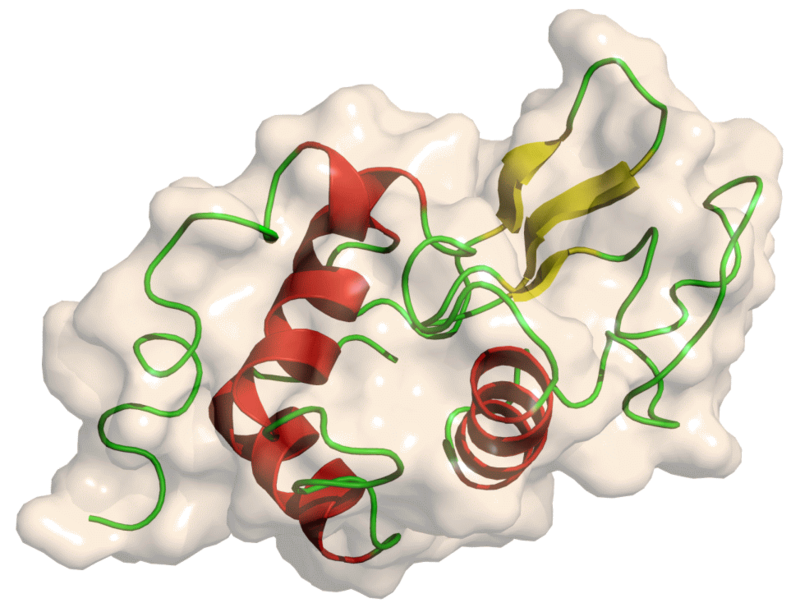 proteina, glicina, lacrime, Limerick, lisozima, biologico, sensori, energia, elettricità, costo, green, chimica, amminoacidi, irlanda