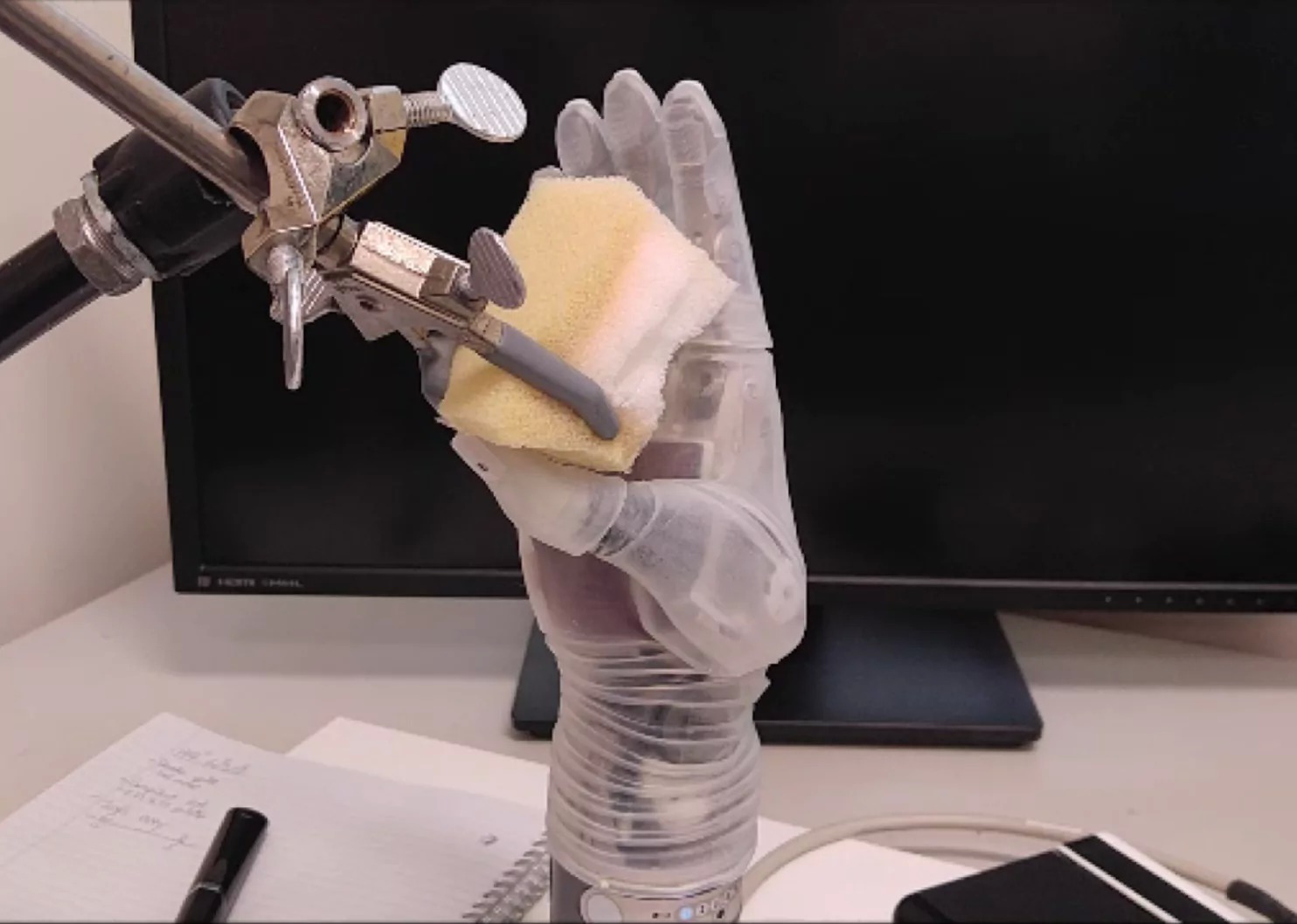 In questo esperimento viene mostrata la capacità della mano di distinguere una spugna morbida dalla plastica duraCredits: University of Utah