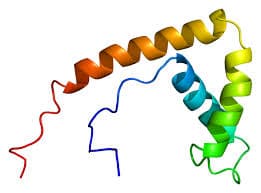 Proteina HMGB1