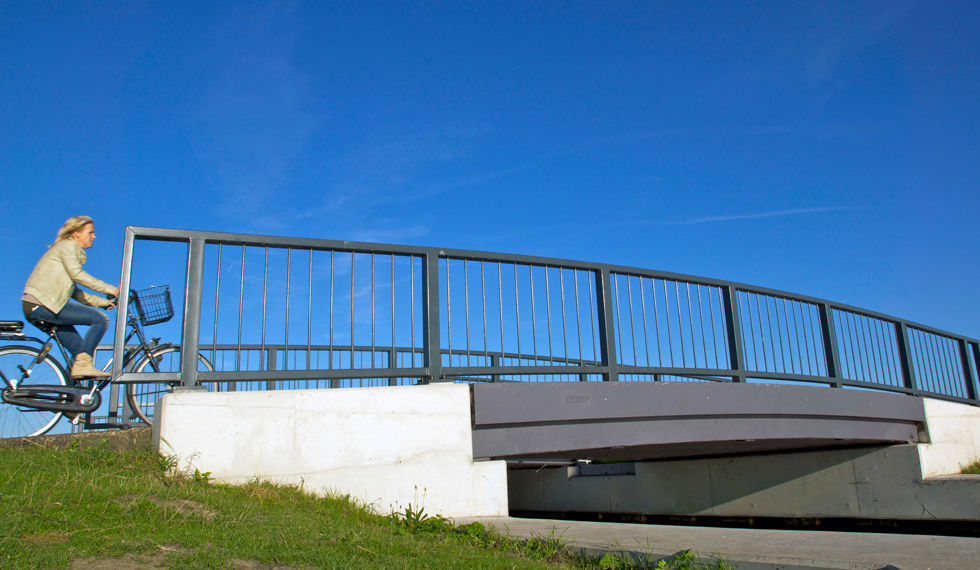 Ponti in composito - FRP Composite Bridges