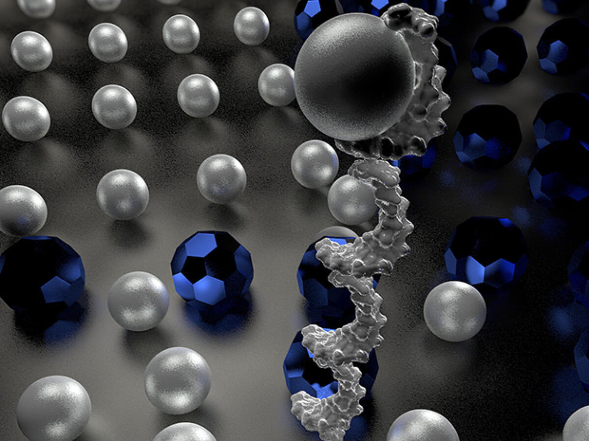 DNA robotici: i "nano-corrieri" molecolari - DNA robotici: i "nano-corrieri" molecolari
Credits: Ella Maru Studio