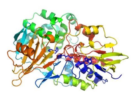 NicA2 si è fuso con un dominio di legame all'albumina Ph: chemistryworld.com