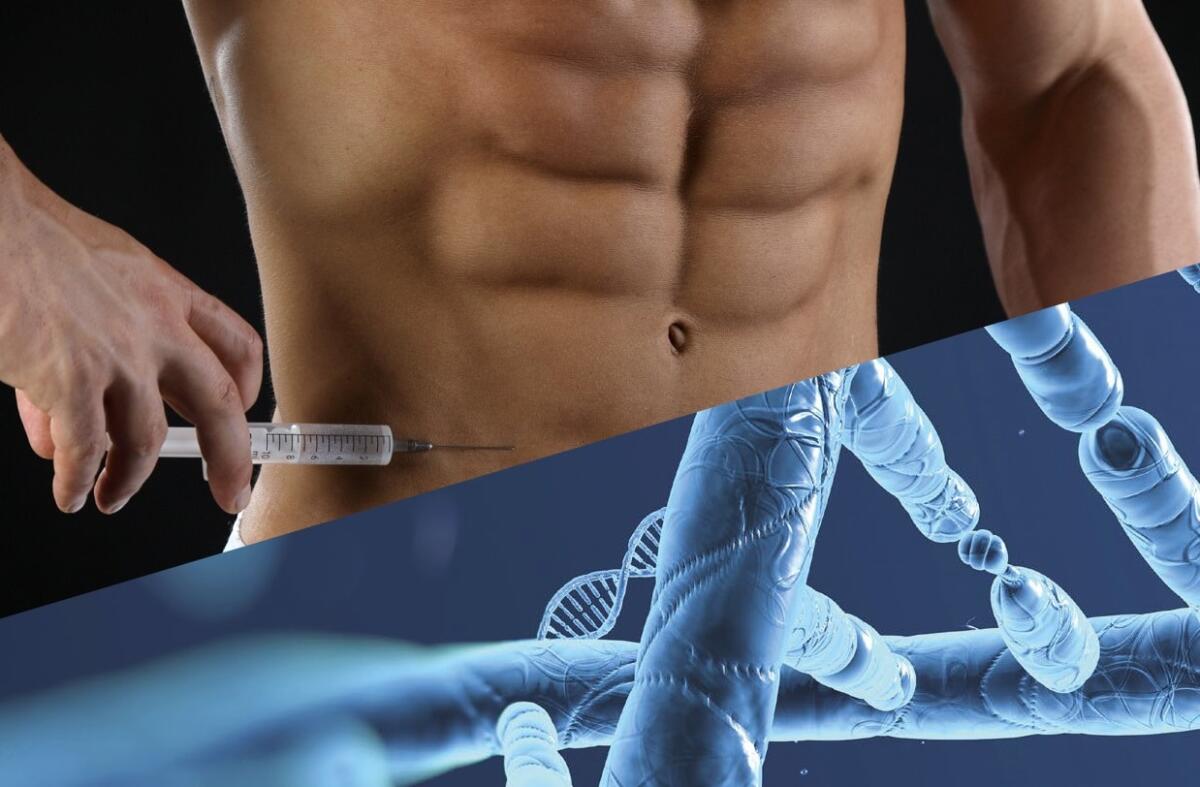 Memoria muscolare, il DNA "ricorda" il doping - Muscles-DNA, crediti: Antonio Piazzolla/Close-up Engineering, muscles: broscience.co; dna: reading.ac.uk
