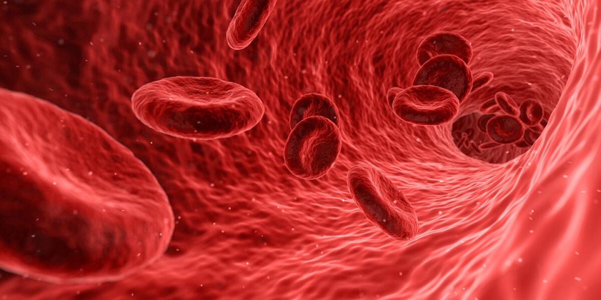 La ferita in vitro che ci illustra il meccanismo dell'emostasi - La ferita in vitro che ci illustra il meccanismo dell'emostasi