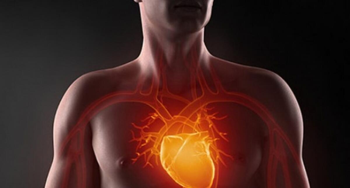 Rigenerazione del tessuto cardiaco infartuato: una ricerca italiana - RIGENERAZIONE DEL TESSUTO CARDIACO INFARTUATO: una ricerca Italiana
Credits: med.news.am