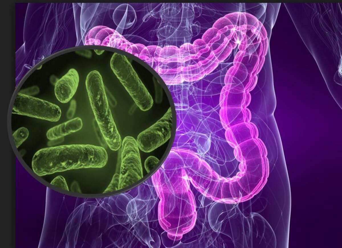 Batteri e malattie autoimmuni: identificata una possibile correlazione - Ph: twitter.com