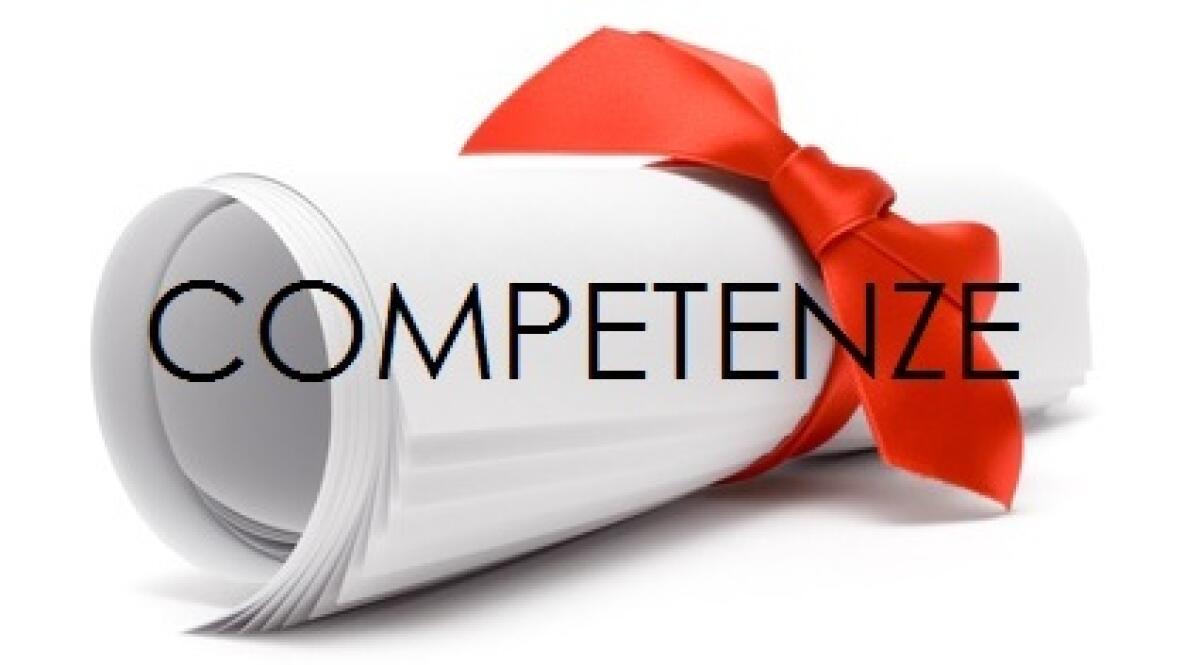 Competenze, modelli organizzativi e il caso Toyota - 