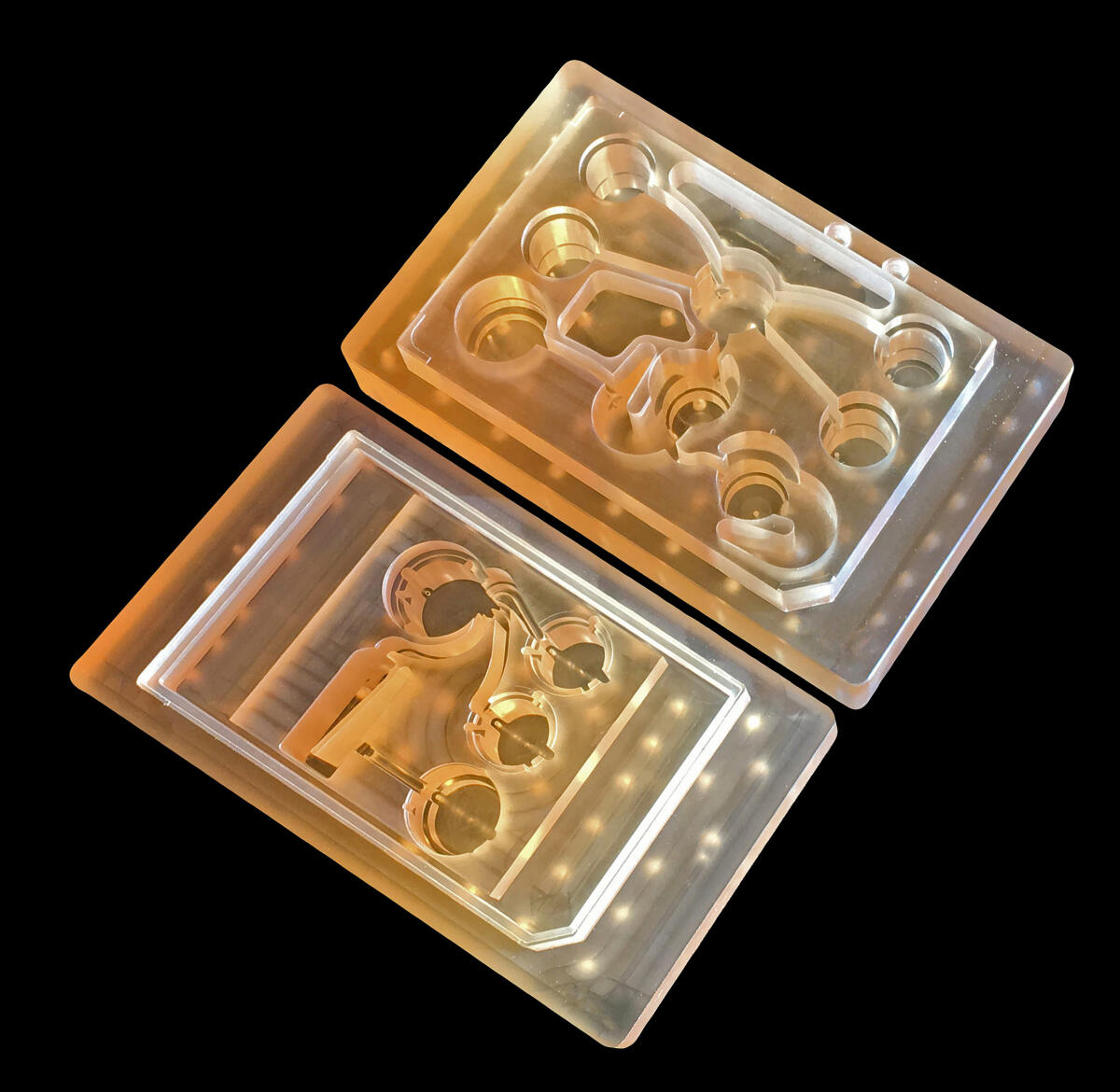 "Body on a chip": la tecnologia che può replicare le interazioni tra gli organi - "Body on a chip": la tecnologia che può replicare le interazioni tra gli organi
Credits: MIT/Felice Frankel