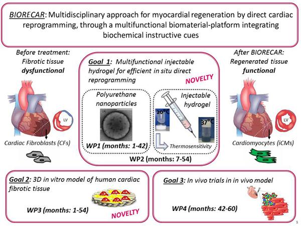 Schema del progetto BIORECAR  Ph: http://www.researchers.polito.it