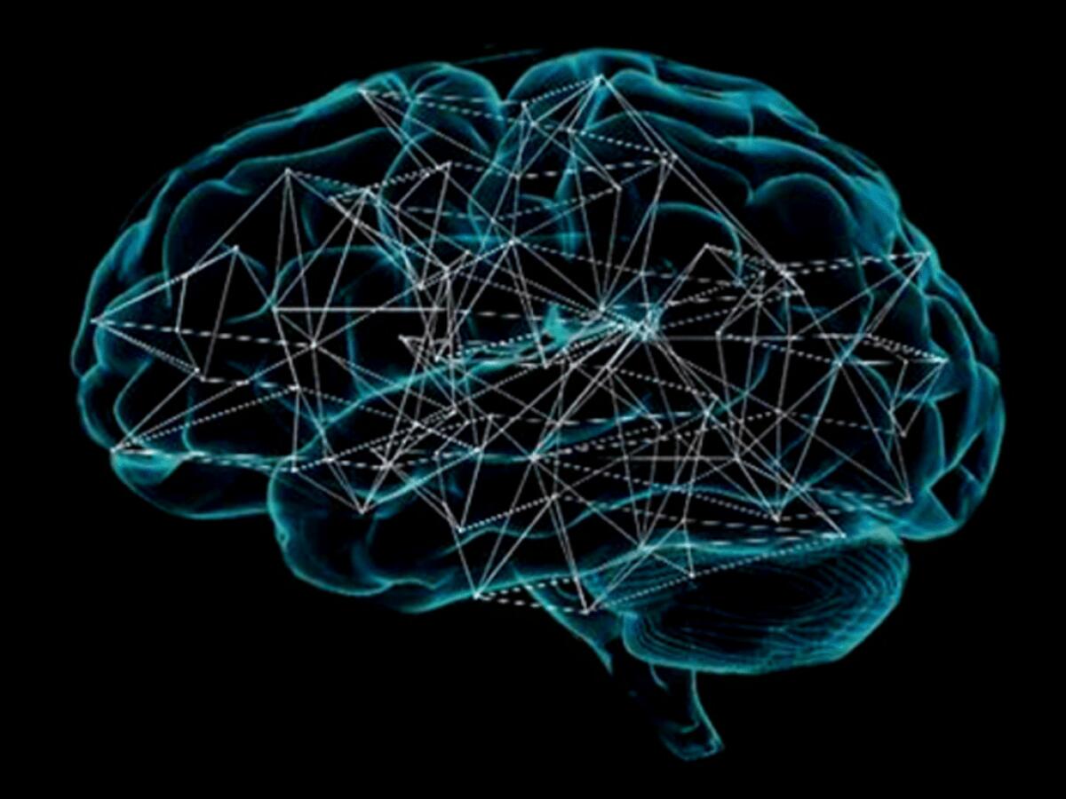 Deep learning: intelligenza artificiale al servizio della biologia - Ph: naadispeaks.wordpress.com