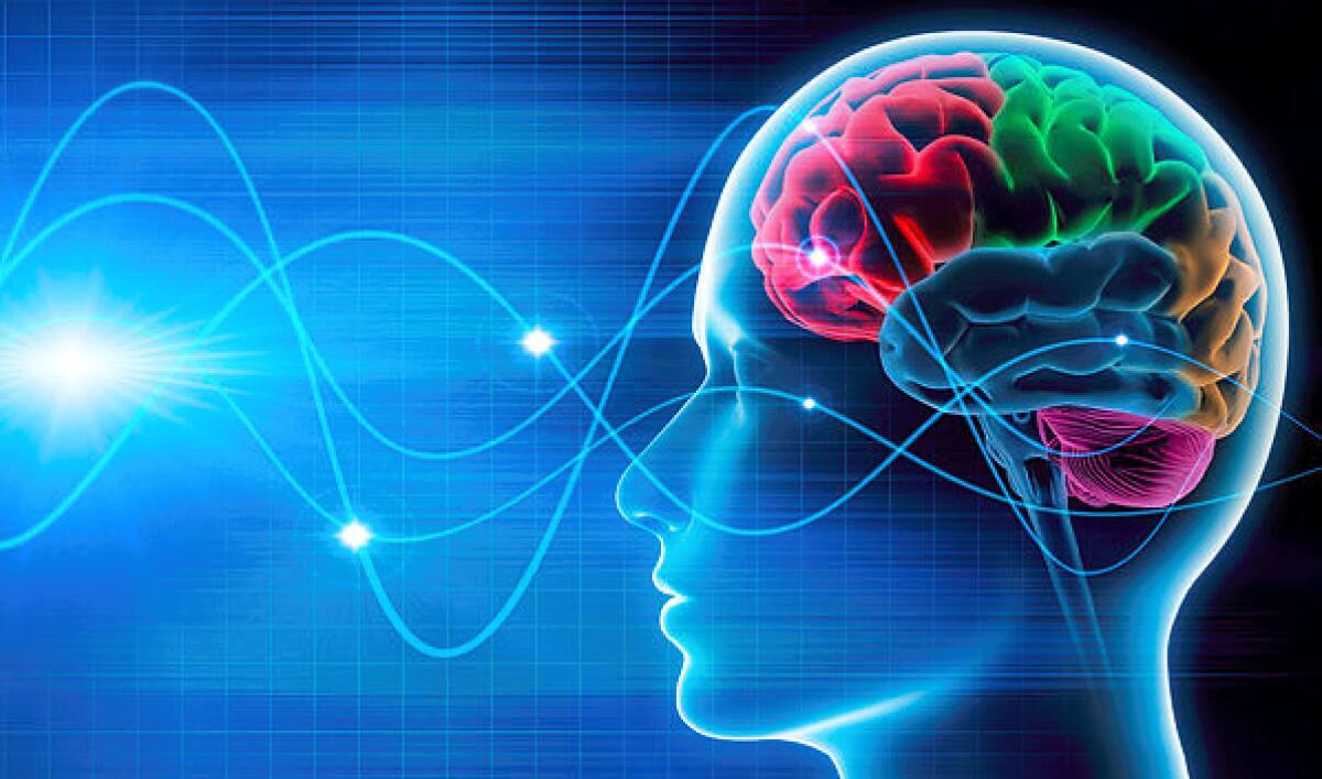 Ripristino della sensazione somatosensoriale in un paziente paralizzato - Sensazione sensoriale