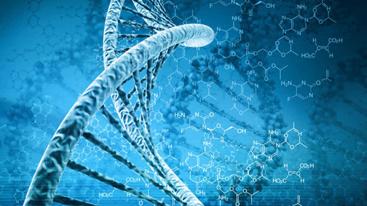 La chirurgia genomica è sempre più vicina grazie a CRISPR - Ph: zeenews.india.com