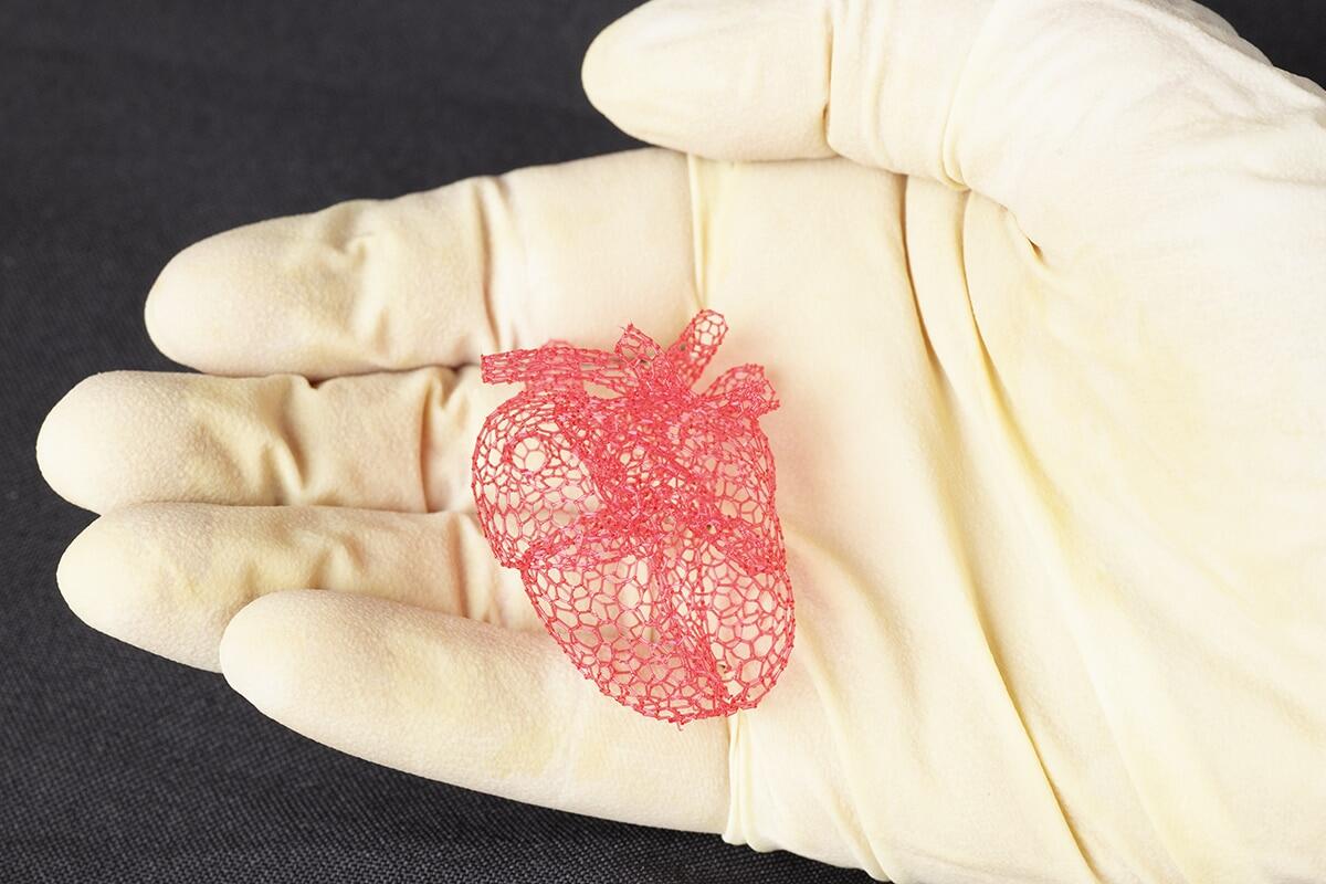 Stampante 3D di zucchero per realizzare organi e tessuti - 