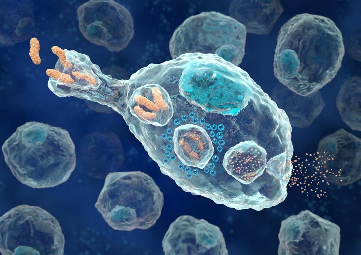 Tatuaggi permanenti e sistema immunitario: cosa li lega? - Ph credits: http://meducator.org