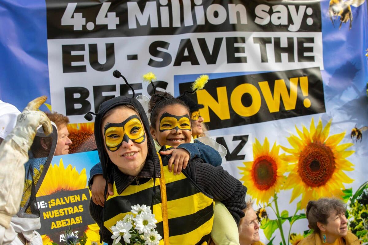 Vietato utilizzo pesticidi nocivi per api - Alcuni manifestanti vestiti da api durante il sit-in contro i neonototinoidi prima del voto a Bruxelles. Foto: Olivier Matthys