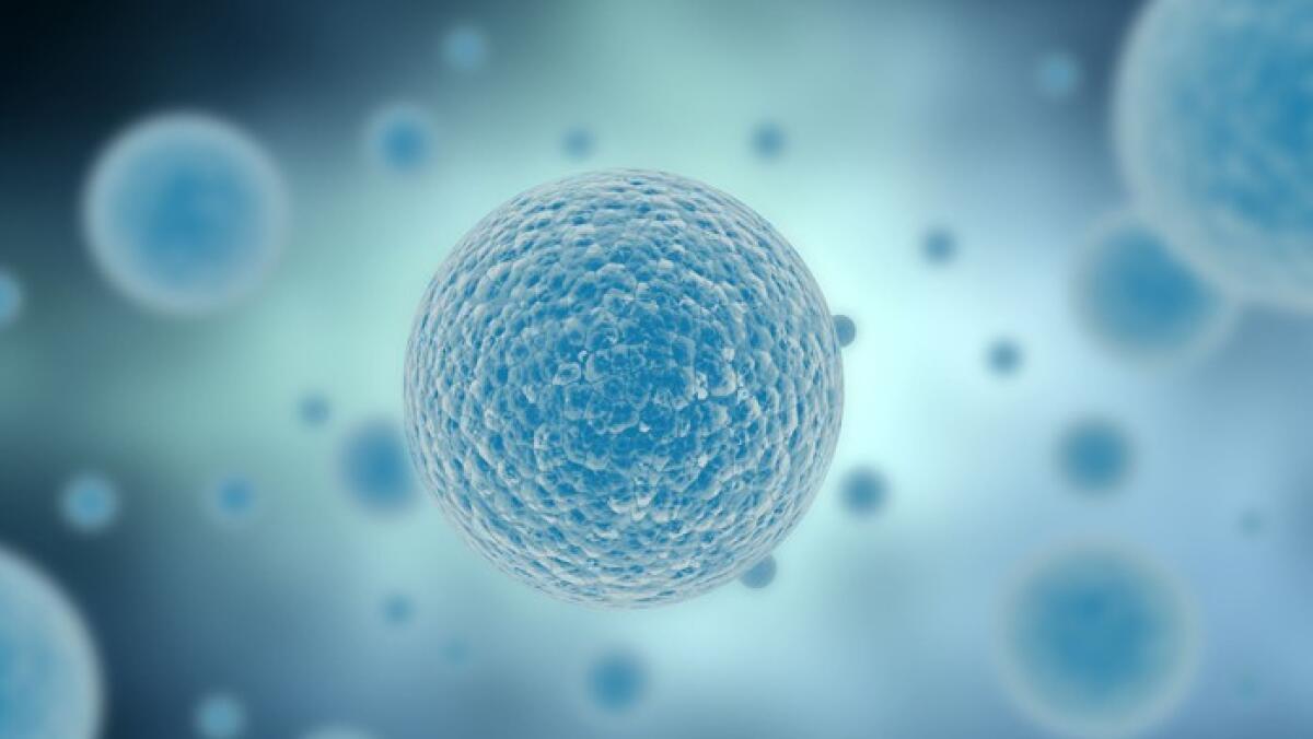 Una nuova tecnica laser permette di manipolare le cellule artificiali - Manipolazione cellule artificiali
