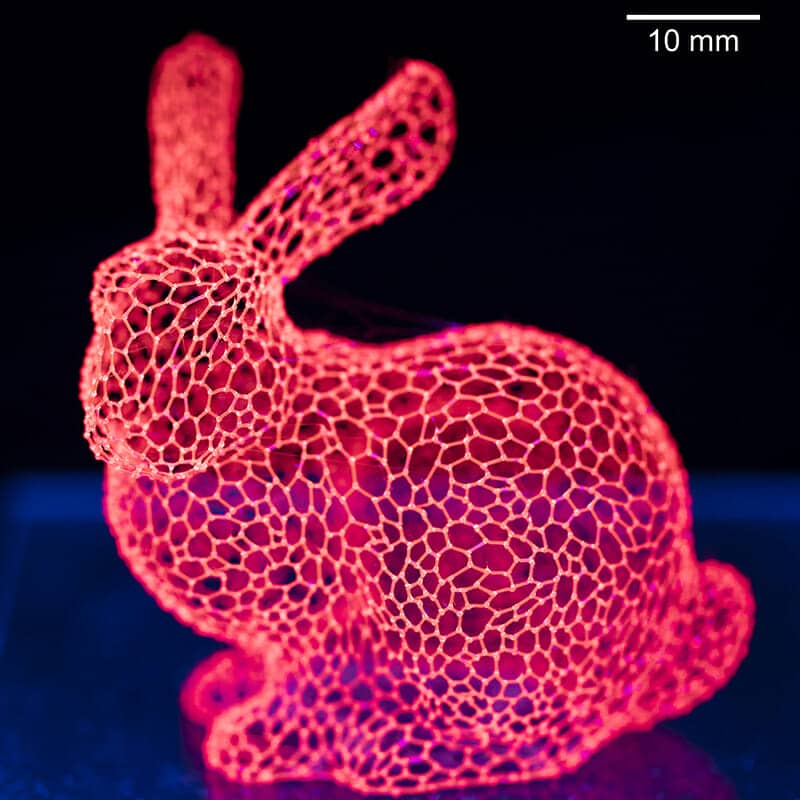 Un coniglio stampato in 3-D con zucchero isomalto mescolato con un colorante rosso incandescentePh:news.illinois.edu